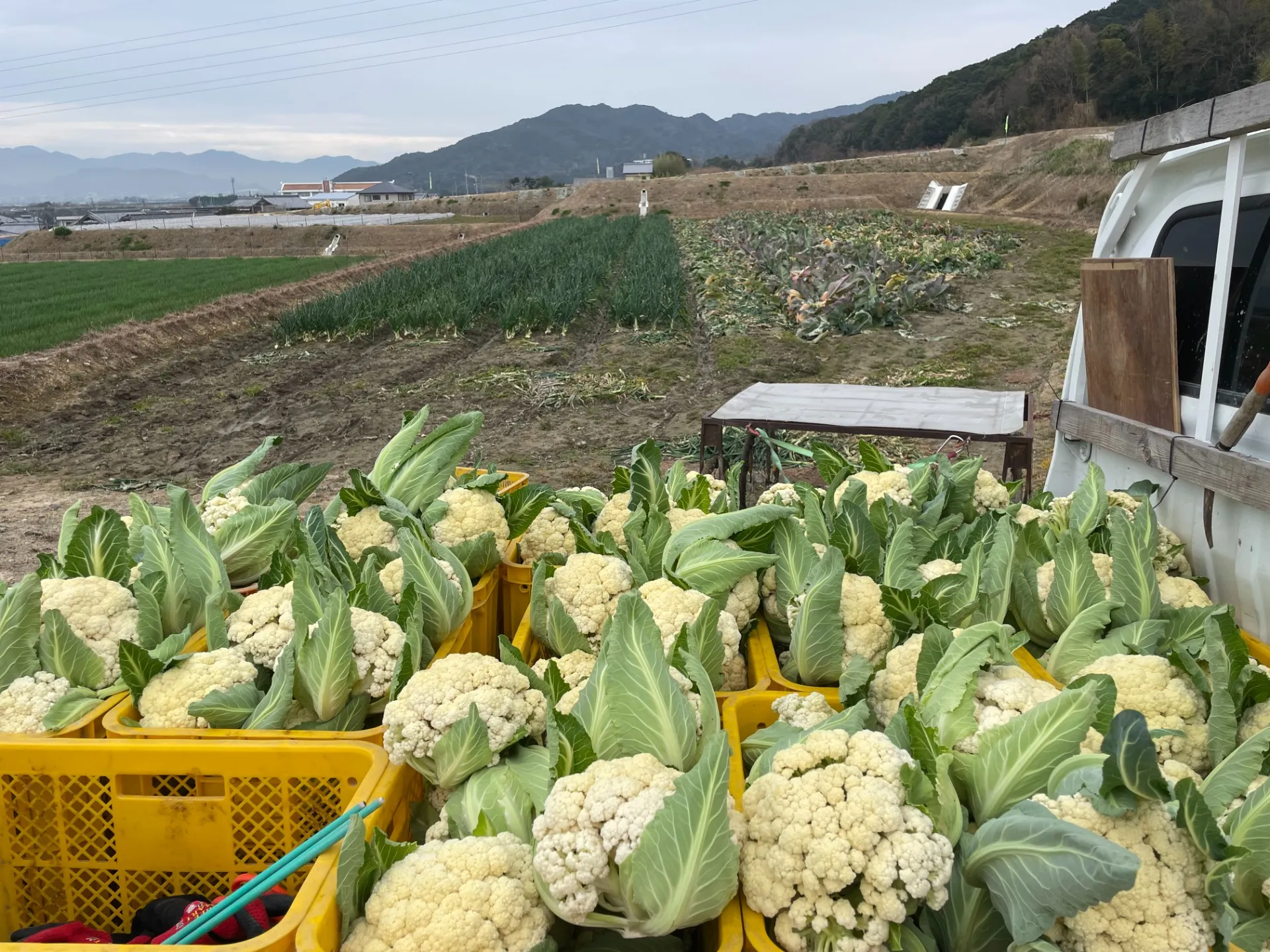 Hope will 淡路島